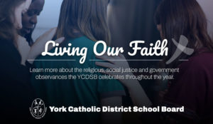 Celebrate Throughout the Year with the YCDSB